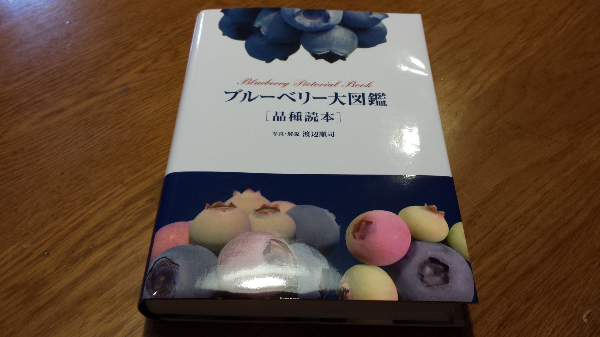 ブルーベリー大図鑑 : 品種読本 - 健康/医学